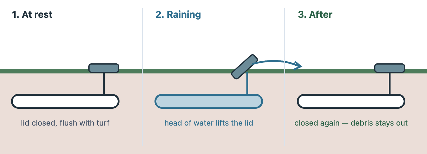 Three stages side by side. At rest, the emitter lid sits flush and closed in the lawn at the end of a buried pipe. During rain, water backing up the pipe pushes the hinged lid open and spills out across the grass. After the rain, the lid falls shut again under its own weight, sealing the pipe against debris and animals.